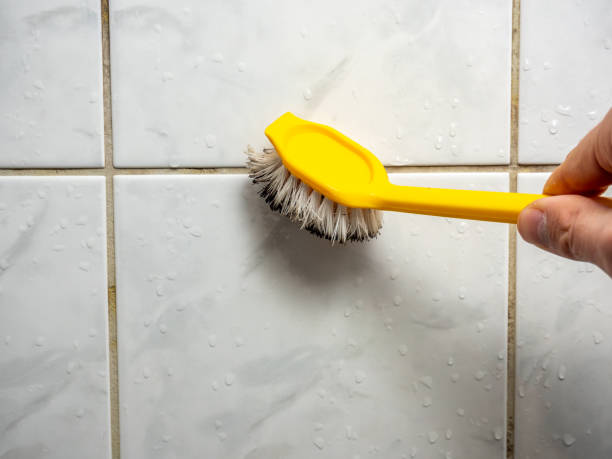 Best Best Mold Removal Companies  in Norco, CA