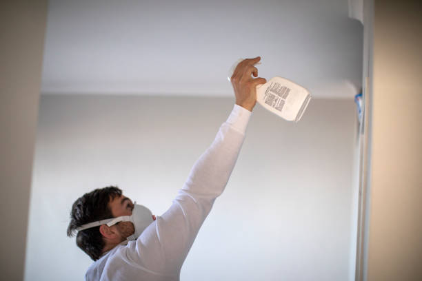 Best Mold Remediation  in Norco, CA