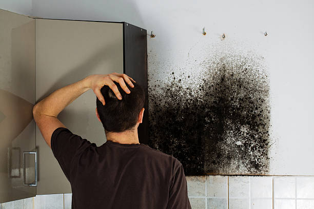 Best Mold Testing  in Norco, CA
